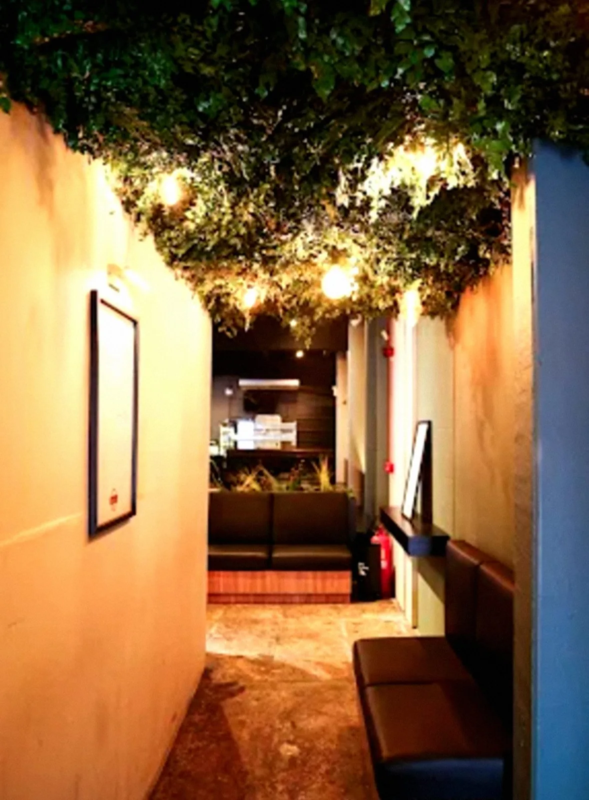 Corredor da casa, com plantas penduradas e luzes acesas
